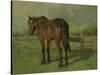 An Old Horse Standing in a Pasture with a Fence-Anton Mauve-Stretched Canvas