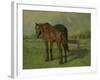 An Old Horse Standing in a Pasture with a Fence-Anton Mauve-Framed Art Print