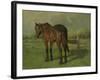 An Old Horse Standing in a Pasture with a Fence-Anton Mauve-Framed Art Print