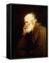 An Old Man, half-length, in a Brown Fur-lined Coat-Joseph Wright of Derby-Framed Stretched Canvas