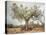 An Old Olive Tree-Roland Andrijauskas-Stretched Canvas