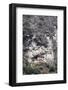 An Old Religious Building Built into the Side of a Cliff in the Sagarmatha National Park-John Woodworth-Framed Photographic Print