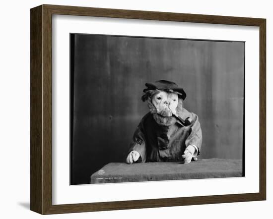 An Old Sea Dog, Literally-null-Framed Photographic Print