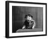 An Old Sea Dog, Literally-null-Framed Photographic Print