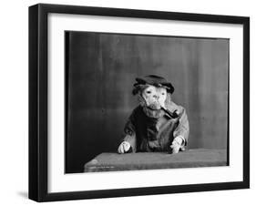 An Old Sea Dog, Literally-null-Framed Photographic Print