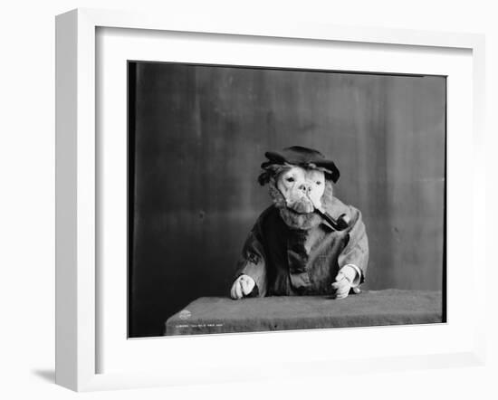 An Old Sea Dog, Literally-null-Framed Photographic Print