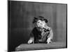 An Old Sea Dog, Literally-null-Mounted Photographic Print