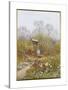 An Old Well, Brook, Surrey-Helen Allingham-Stretched Canvas