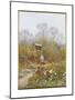 An Old Well, Brook, Surrey-Helen Allingham-Mounted Premium Giclee Print