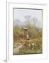 An Old Well, Brook, Surrey-Helen Allingham-Framed Giclee Print