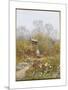 An Old Well, Brook, Surrey-Helen Allingham-Mounted Giclee Print