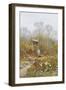 An Old Well, Brook, Surrey-Helen Allingham-Framed Giclee Print