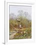 An Old Well, Brook, Surrey-Helen Allingham-Framed Giclee Print