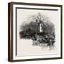 An Old Windmill at Rye, the South Coast, UK, 19th Century-null-Framed Giclee Print