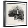 An Old Windmill at Rye, the South Coast, UK, 19th Century-null-Framed Giclee Print