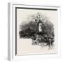 An Old Windmill at Rye, the South Coast, UK, 19th Century-null-Framed Giclee Print