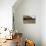 An Old Wooden Barn in a Cotton Field in South Georgia, USA-Joanne Wells-Stretched Canvas displayed on a wall