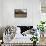 An Old Wooden Barn in a Cotton Field in South Georgia, USA-Joanne Wells-Framed Stretched Canvas displayed on a wall