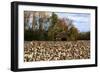 An Old Wooden Barn in a Cotton Field in South Georgia, USA-Joanne Wells-Framed Photographic Print