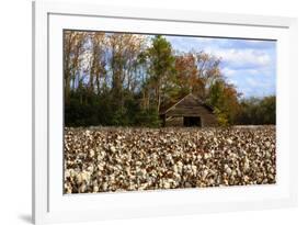 An Old Wooden Barn in a Cotton Field in South Georgia, USA-Joanne Wells-Framed Photographic Print