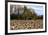 An Old Wooden Barn in a Cotton Field in South Georgia, USA-Joanne Wells-Framed Photographic Print