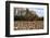 An Old Wooden Barn in a Cotton Field in South Georgia, USA-Joanne Wells-Framed Photographic Print