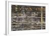 An Old Wooden Siding-Ray2012-Framed Photographic Print