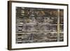 An Old Wooden Siding-Ray2012-Framed Photographic Print