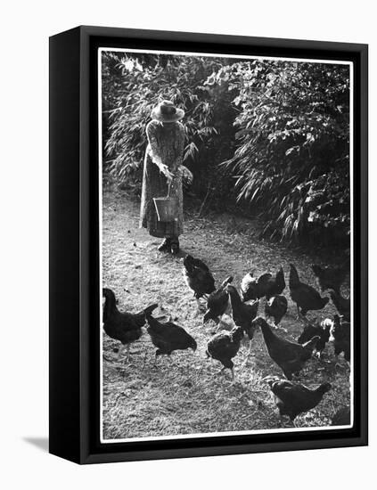 An Older Woman in a Long Dress and Wide-Brimmed Hat Throws Handfuls of Chicken Feed-null-Framed Stretched Canvas