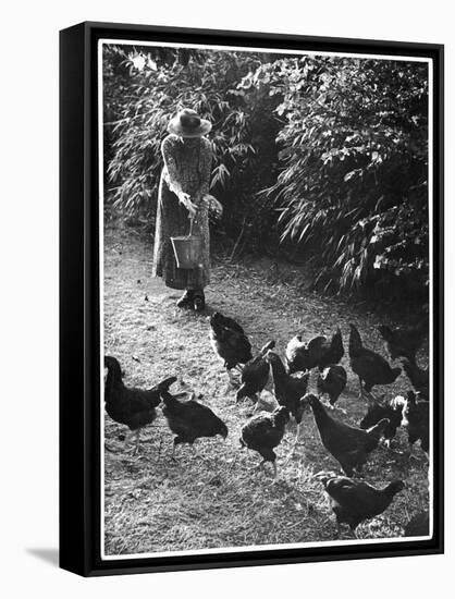 An Older Woman in a Long Dress and Wide-Brimmed Hat Throws Handfuls of Chicken Feed-null-Framed Stretched Canvas