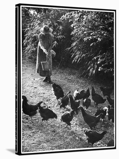 An Older Woman in a Long Dress and Wide-Brimmed Hat Throws Handfuls of Chicken Feed-null-Stretched Canvas