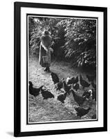 An Older Woman in a Long Dress and Wide-Brimmed Hat Throws Handfuls of Chicken Feed-null-Framed Art Print