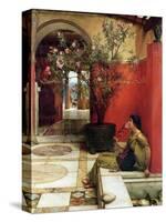 An Oleander, 1882-Sir Lawrence Alma-Tadema-Stretched Canvas