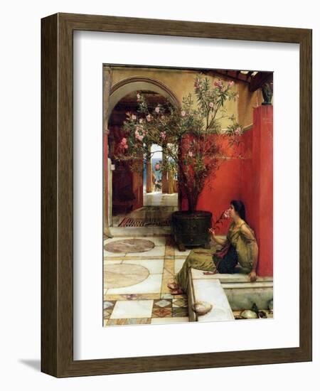 An Oleander, 1882-Sir Lawrence Alma-Tadema-Framed Giclee Print