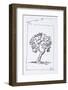 An olive tree in the south of France-Richard Lawrence-Framed Photographic Print