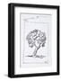 An olive tree in the south of France-Richard Lawrence-Framed Photographic Print