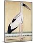 An Open-Beaked Stork, C. 1780-null-Mounted Giclee Print