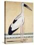 An Open-Beaked Stork, C. 1780-null-Stretched Canvas