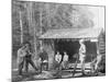 An Open Camp in the Adirondacks, New York-null-Mounted Photo