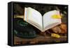 An open Holy Quran on wood stand and a kufi, France, Europe-Godong-Framed Stretched Canvas
