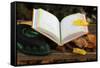 An open Holy Quran on wood stand and a kufi, France, Europe-Godong-Framed Stretched Canvas