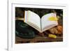 An open Holy Quran on wood stand and a kufi, France, Europe-Godong-Framed Photographic Print