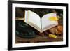 An open Holy Quran on wood stand and a kufi, France, Europe-Godong-Framed Photographic Print