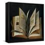 An Opened Liturgical Book-null-Framed Stretched Canvas