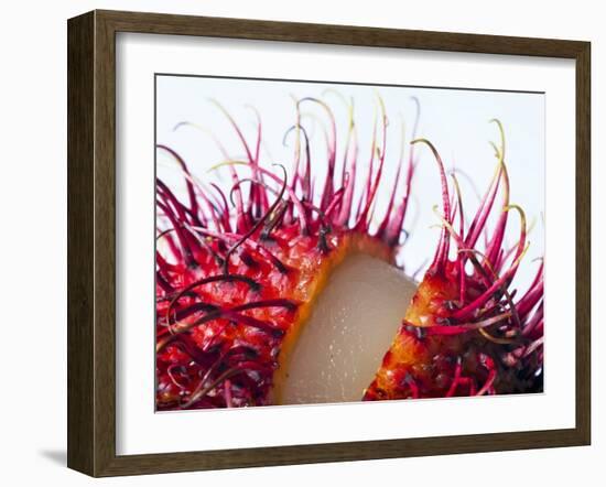 An Opened Rambutan-Toni Eichhorn-Framed Photographic Print