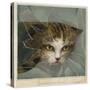 An Orange and Black Cat Looks Through a Broken Windowpane-null-Stretched Canvas