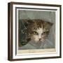 An Orange and Black Cat Looks Through a Broken Windowpane-null-Framed Art Print