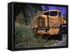 An Orange Truck at a Car Cemetery in Colorado-Michael Brown-Framed Stretched Canvas