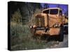 An Orange Truck at a Car Cemetery in Colorado-Michael Brown-Stretched Canvas