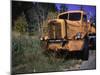 An Orange Truck at a Car Cemetery in Colorado-Michael Brown-Mounted Photographic Print